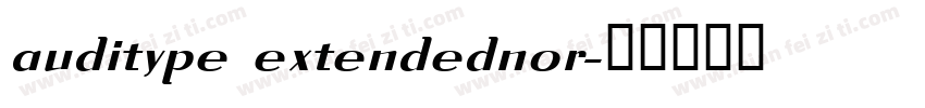 auditype extendednor字体转换